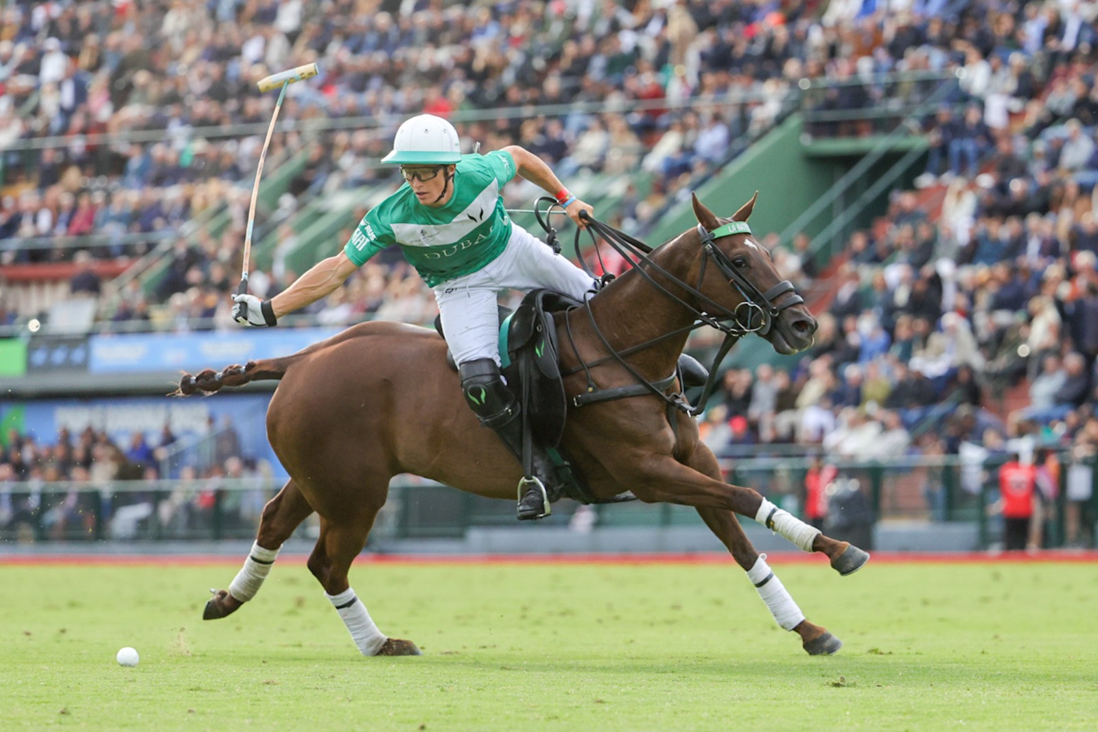 Prensa Polo Polo de Argentina y Mundial