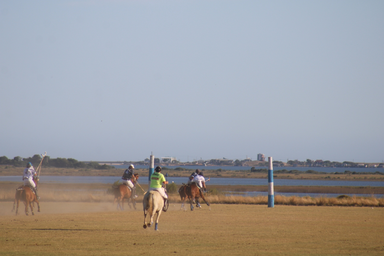 Prensa Polo | Polo de Argentina y Mundial