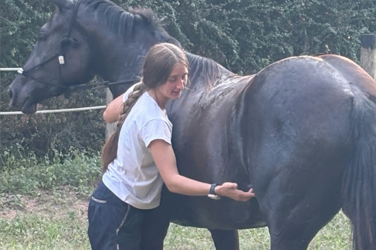 #ThursdayWithGaia 2: Ideal action and temperament in a polo pony 